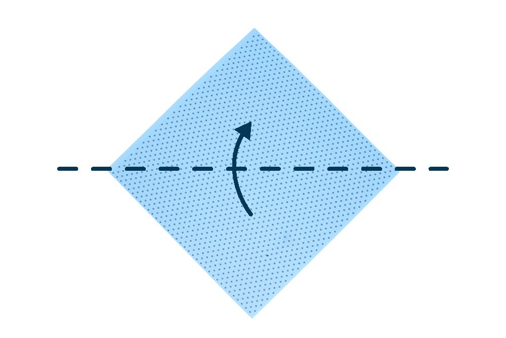 How to fold an Origami Twirling Bird - Step 01