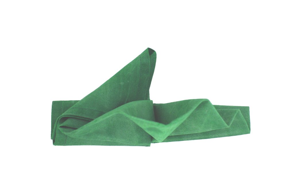 How_to_do_a_turkey_napkin_fold_step_5